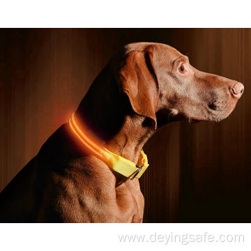 Pets Collars Adjustable Polyester Glow In Night